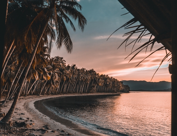 Wat u hier leest is een voorbeeldtekst