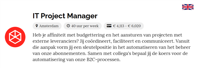 IT Project Manager